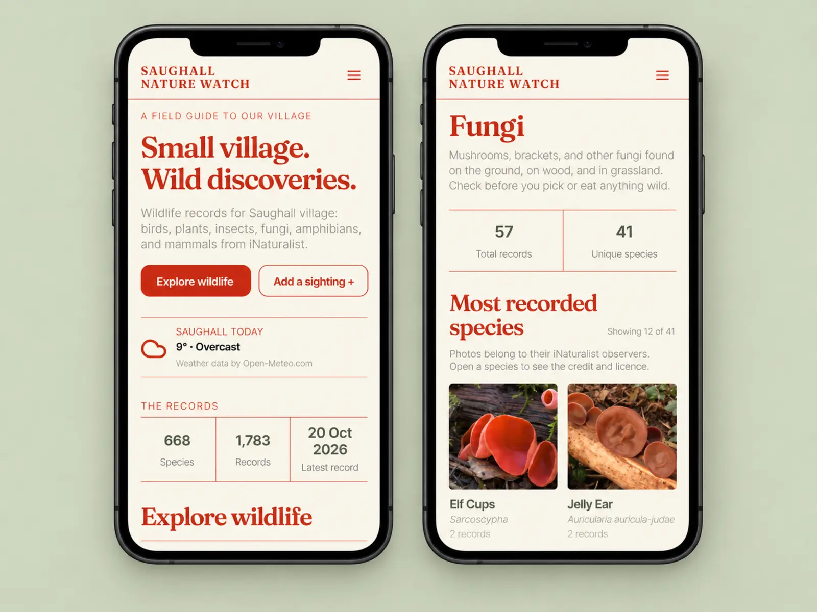 Mobile views of the Saughall Nature Watch homepage and a wildlife category page