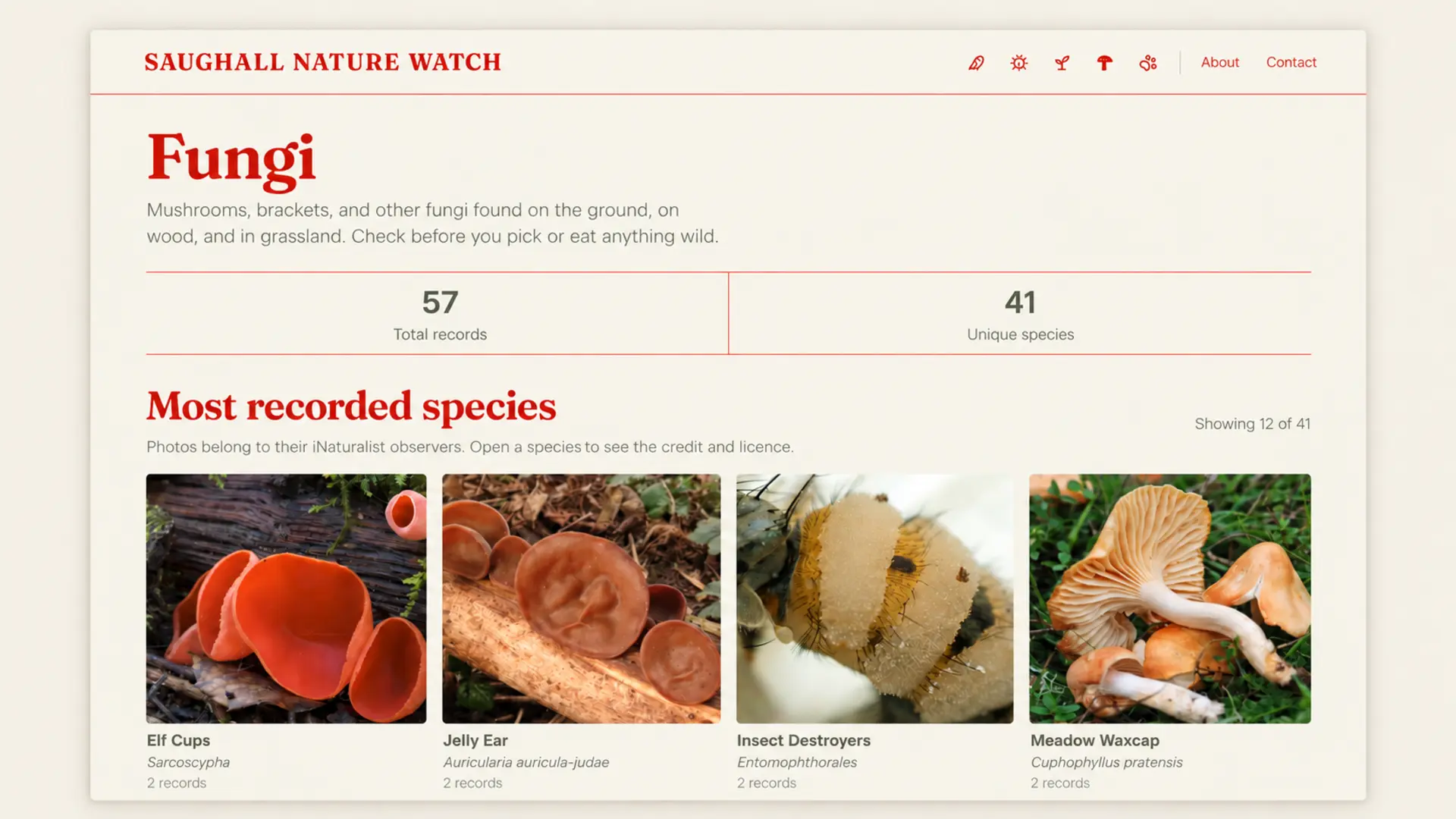 A wildlife category page showing species photographs, names and observation counts